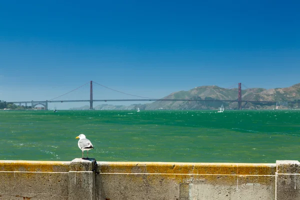 San Francisco, Californie — Photo