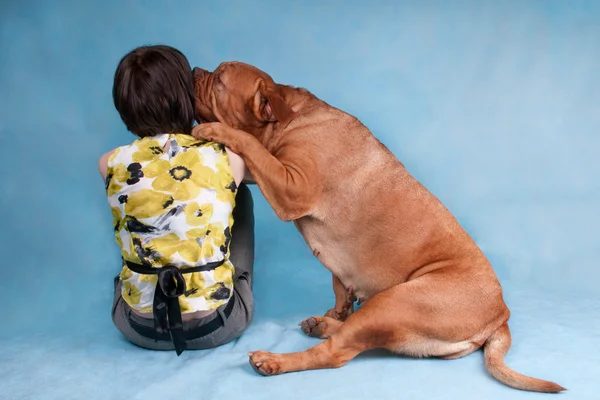 Perro besos su chica maestro — Foto de Stock