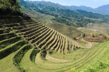 Teraslı alanların peyzaj