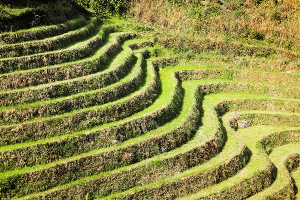 Terraced field lines — Stock Photo, Image