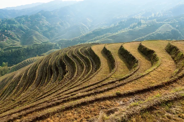 Beautiful terraced fields scenery — Stock Photo, Image