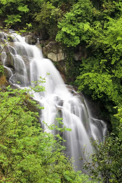 Крупный план водопада в джунглях — стоковое фото