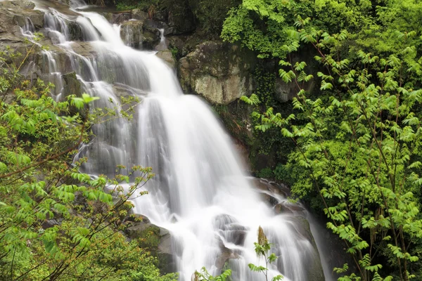 Waterval in de jungle — Stockfoto