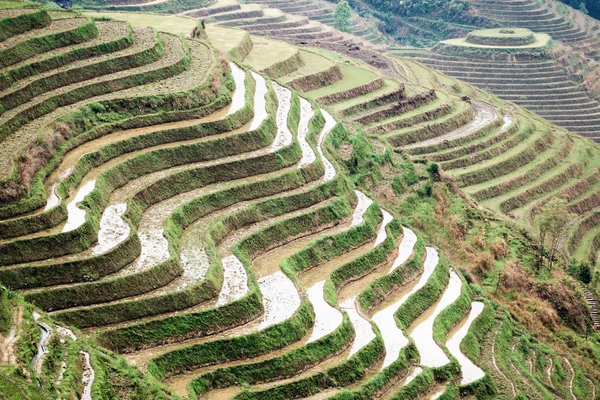 Terraces in springtime — Stock Photo, Image