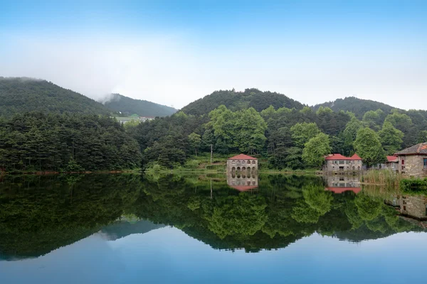 Ruhige Landschaft in üppiger Natur — Stockfoto