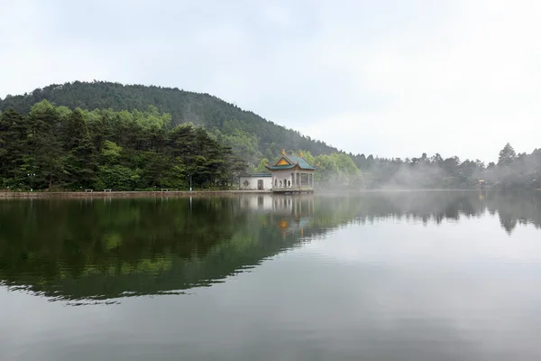 Schöner See in üppiger Natur — Stockfoto