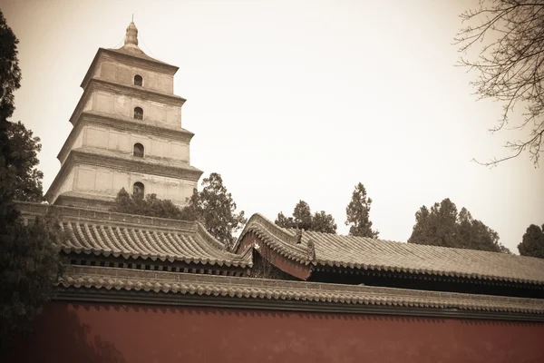 Chinese big wild goose pagoda — Stock Photo, Image