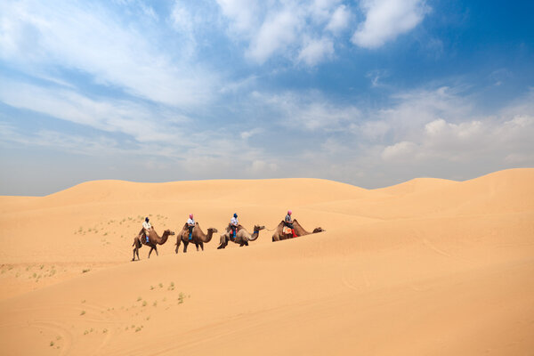 Sand desert travel