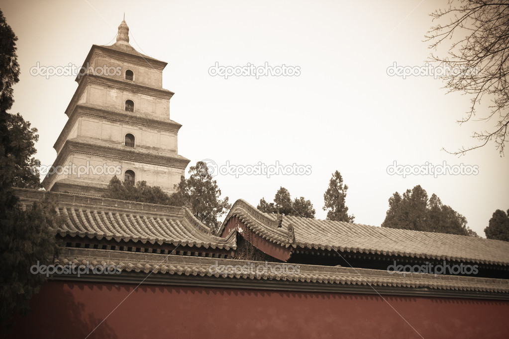 Chinese big wild goose pagoda