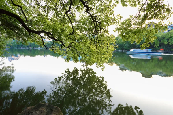 Reflexão à beira do lago — Fotografia de Stock