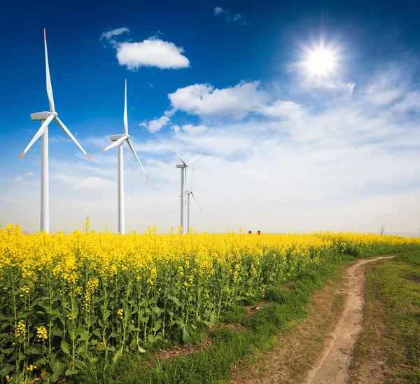 Rapsfeld mit Windrädern — Stockfoto