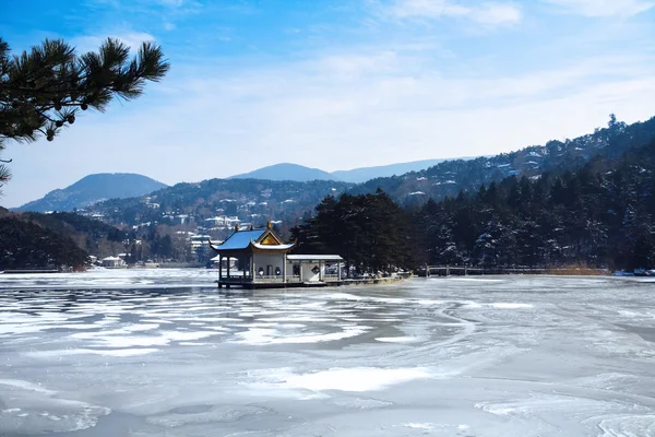 Lago lussureggiante in inverno — Foto Stock