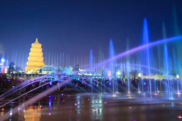 Grande pagoda oca selvatica con fontane di notte — Foto Stock