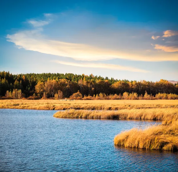Водно-болотный парк осенью — стоковое фото