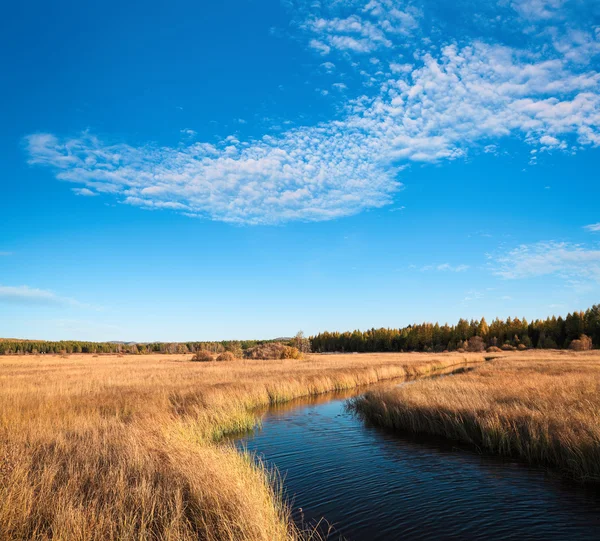 Beautiful wetland in autumn — Stock Photo, Image
