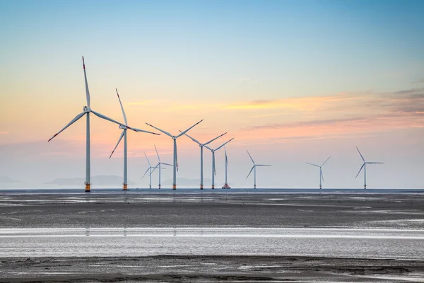 Ветряная электростанция в прибрежной грязи — стоковое фото