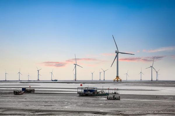 Ветряные турбины на берегу моря — стоковое фото