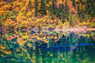 lakefront sonbahar renkleri