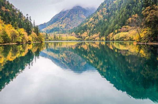 Färgglada sjön på hösten — Stockfoto