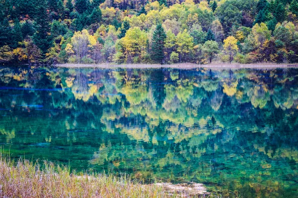 Lac tranquille en automne — Photo
