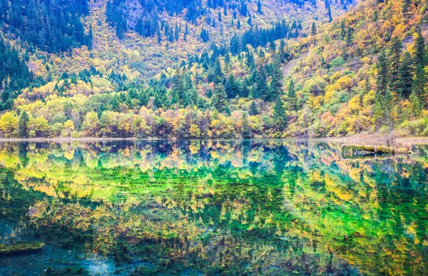 Colorful lakes in jiuzhaigou valley — Stock Photo, Image