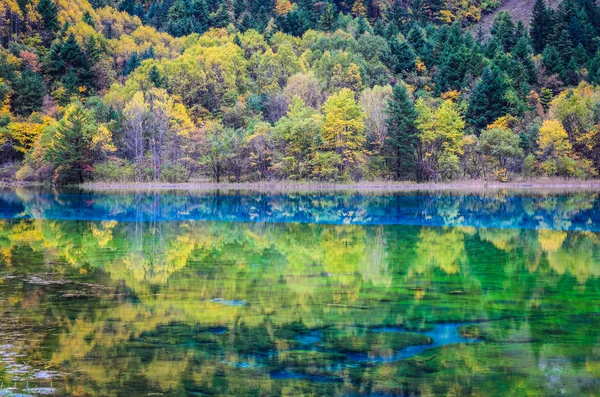 Sonbaharda güzel göl — Stok fotoğraf