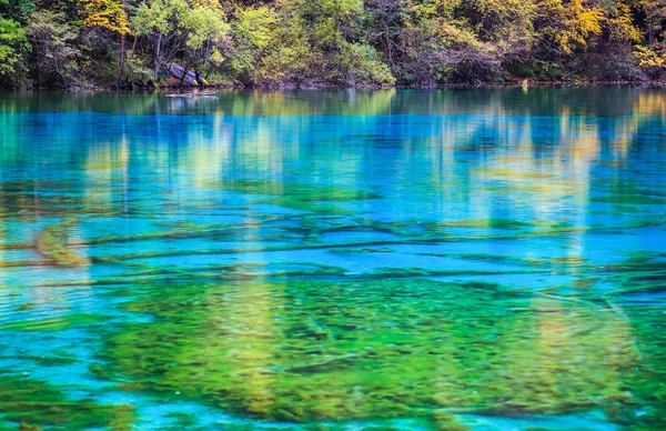 Blaue Seenoberfläche im Herbst — Stockfoto