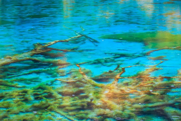 Crystal clear lake in jiuzhaigou — Stock Photo, Image