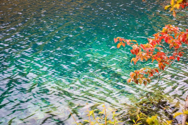 Herbst See Hintergrund — Stockfoto