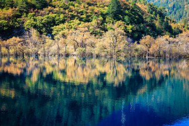 sonbaharın güzel jiuzhaigou