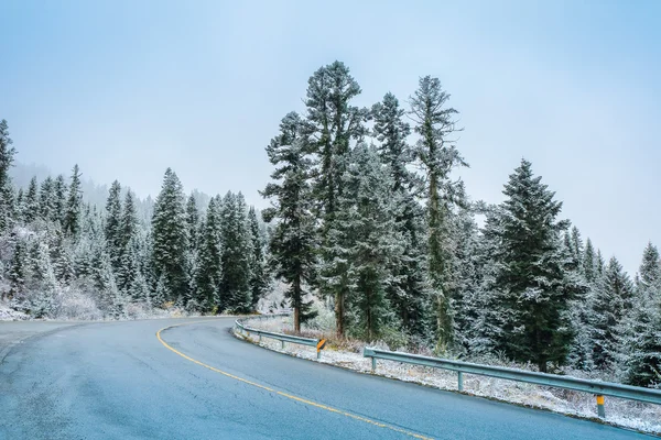 多雪的山路 — 图库照片