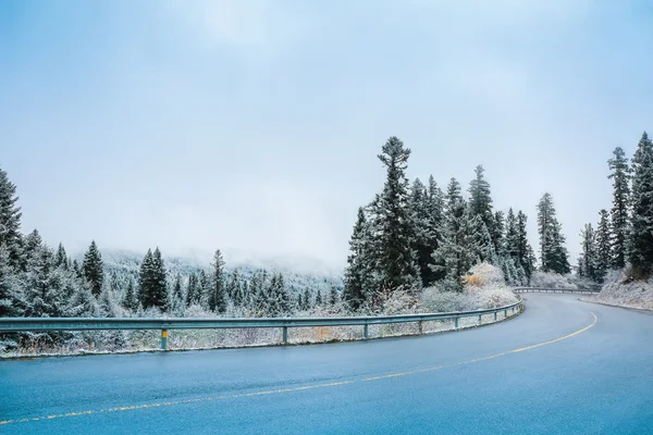 Winter road in the snow weather — Stock Photo, Image