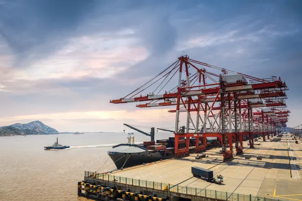 Une rangée de grues dans le port — Photo