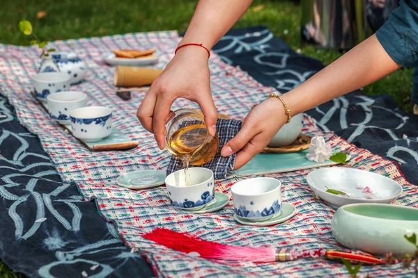 Tea ceremony — Stock Photo, Image