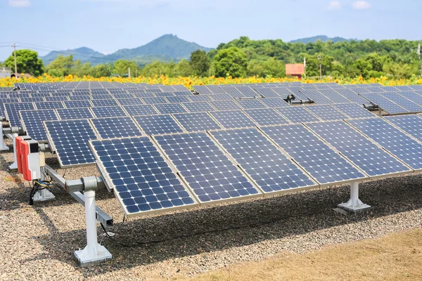 太陽電池パネルとヒマワリの農地の背景 — ストック写真