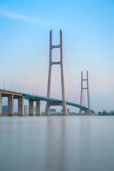 Kabel stannade bridge närbild — Stockfoto