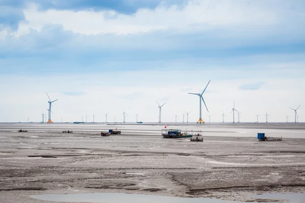 Wind farm in mud flat — Stock Photo, Image
