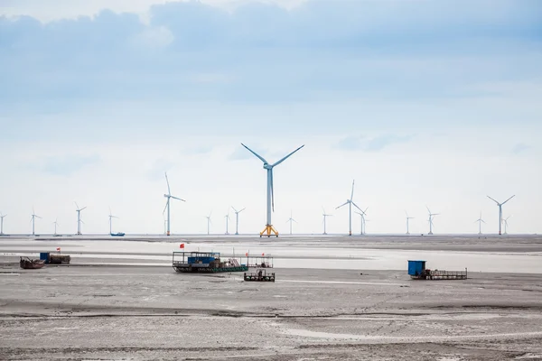 Wind farm in mud flat — Stock Photo, Image