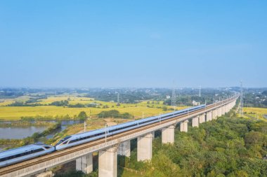 Yüksek yaklaşım köprüleri ve kırsal arazi üzerindeki yüksek hızlı trenler sonbaharda, Anhui ili, Çin