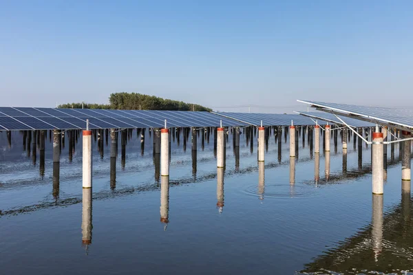 Painéis Solares Lagoa Peixes Desenvolvimento Energia Limpa Campo — Fotografia de Stock