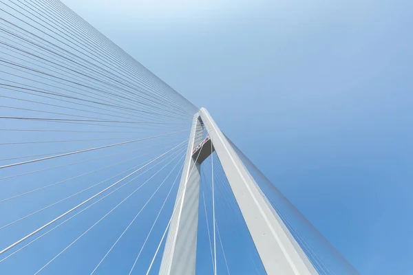 Närbild Kabel Stannade Bron Mot Blå Himmel Kinesiska Tecken Bron — Stockfoto