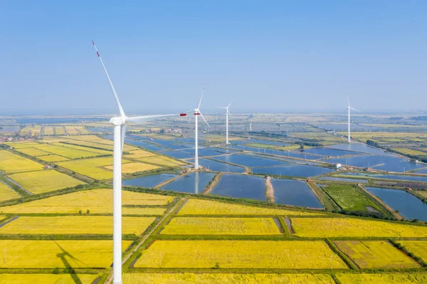 Čistá Energie Krajina Větrné Turbíny Generátor Krásné Podzimní Rýžová Pole — Stock fotografie