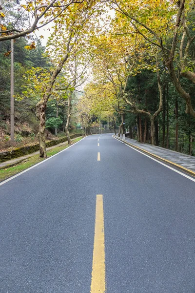 Jalan Aspal Kosong Musim Gugur Hutan Pegunungan — Stok Foto