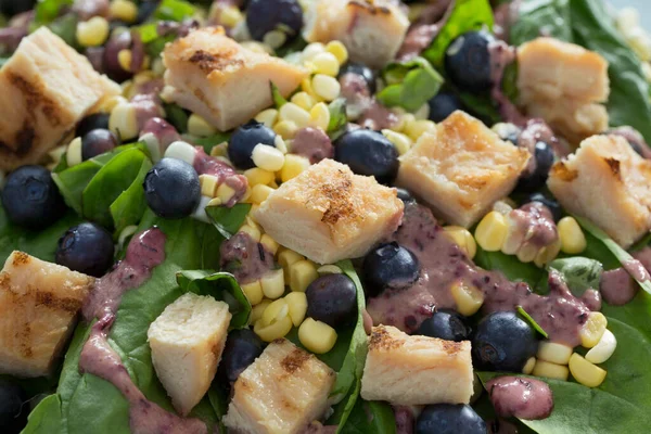 夏天新鲜鸡肉蓝莓玉米沙拉 — 图库照片