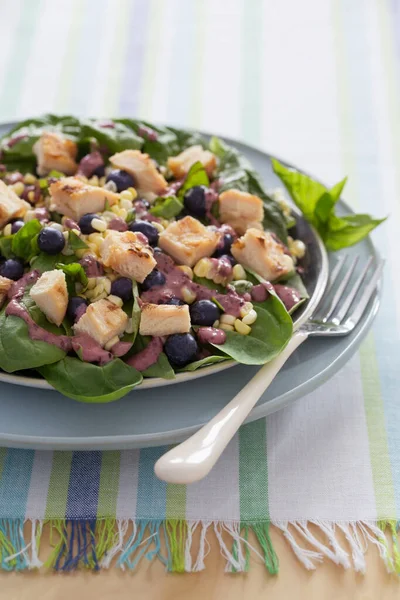 Salada Milho Mirtilo Frango Fresco Verão — Fotografia de Stock