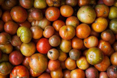 Çok renkli domatesler sandığı.