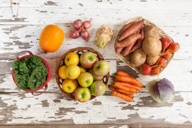 Sonbahar Kış Hasadı Toplumu Tarımsal Paylaşım Desteği 