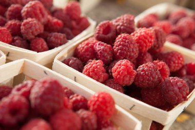 Sabah güneşinde yarım litre ahududu 