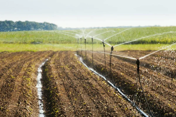 Farm Irrigation System Watering Crops — Foto Stock