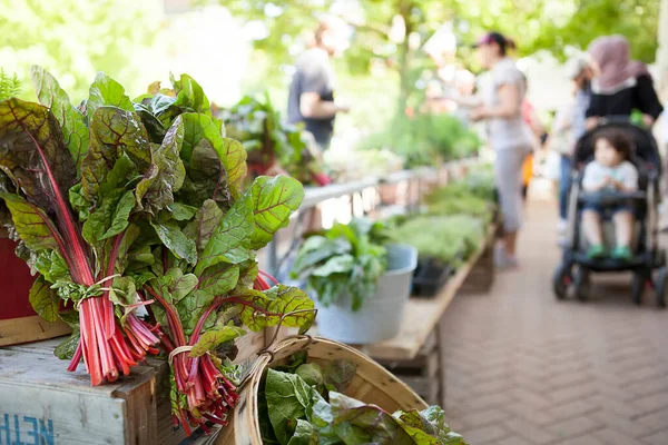 Summer Farmer Market Stand Met Klanten — Stockfoto